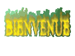 bienvenue